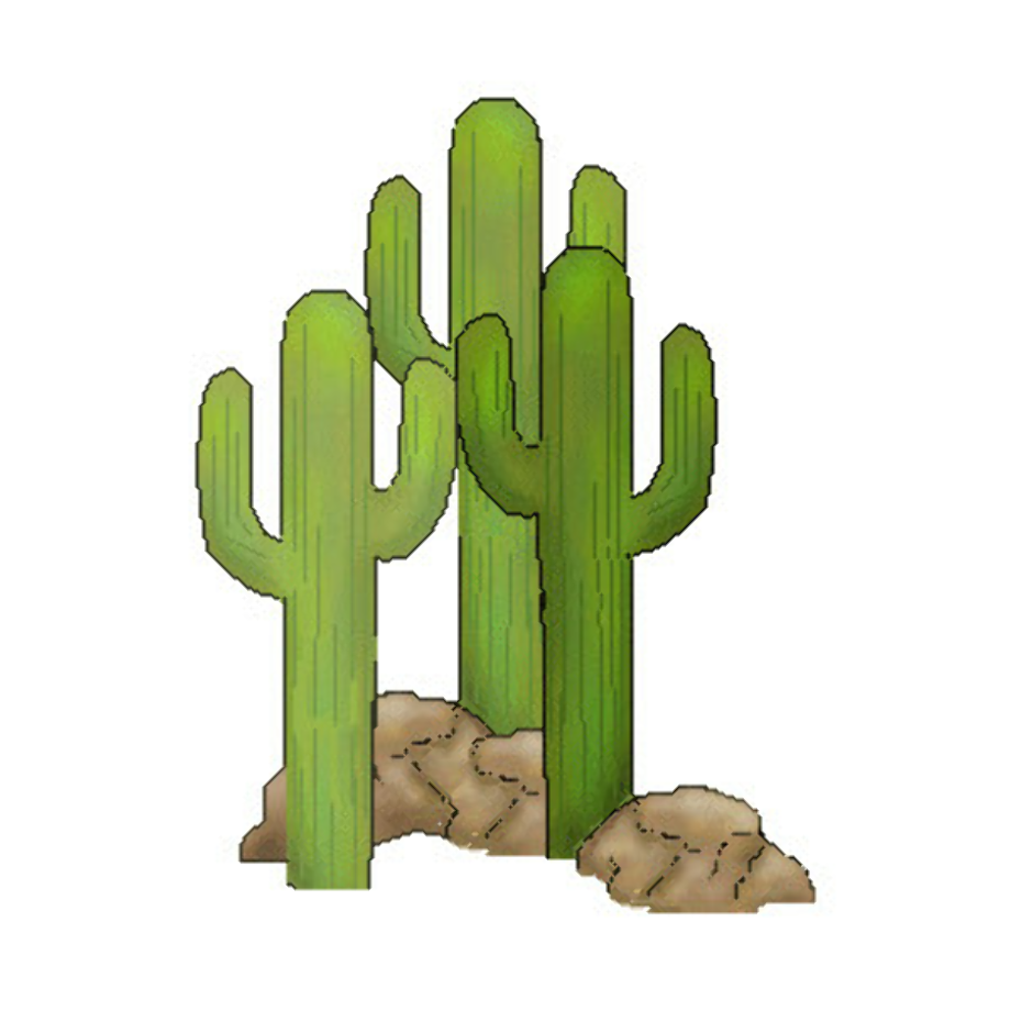 Cactus saguaro