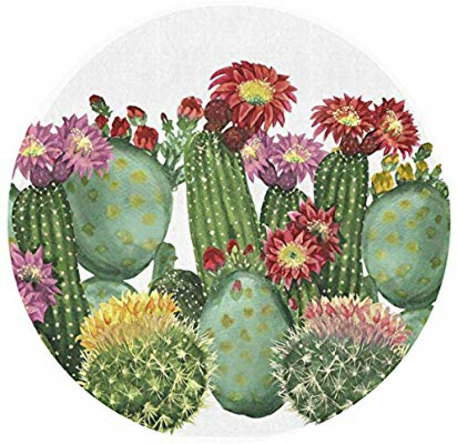 Download High Quality cactus clipart flower Transparent PNG Images