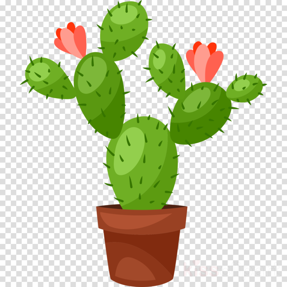 cactus clip art prickly pear