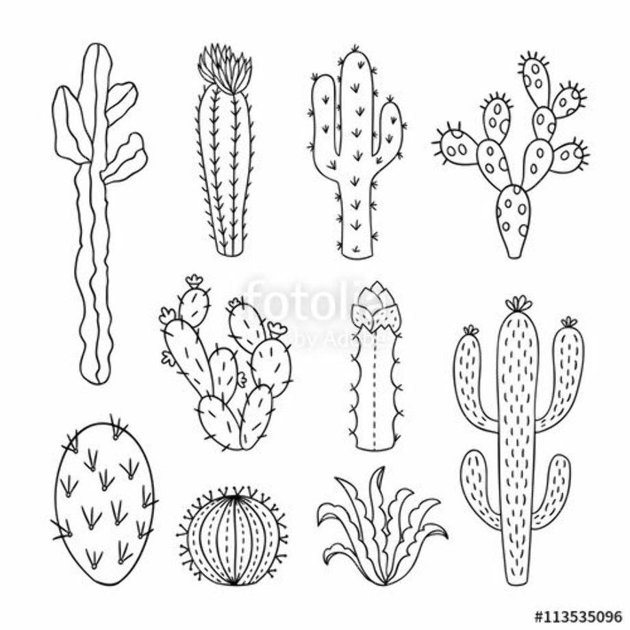 cactus clip art outline