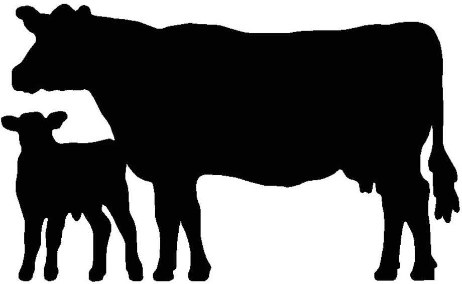 cow clipart black and white calf