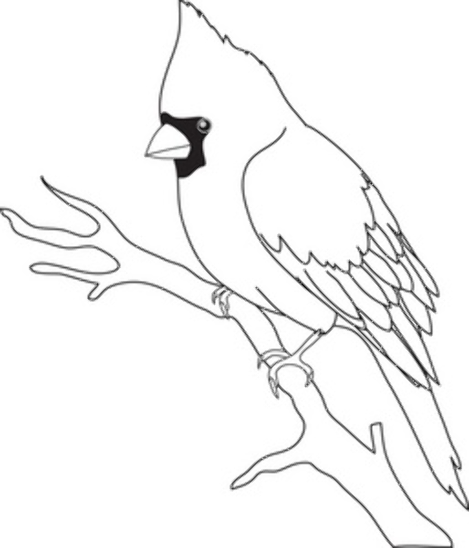 Download High Quality cardinal clipart black and white Transparent PNG