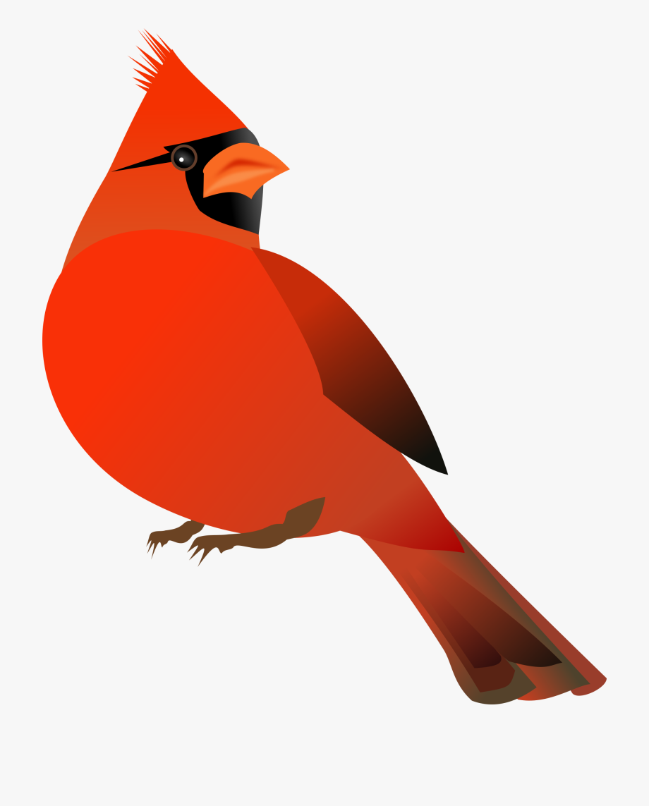 cardinal clipart baby