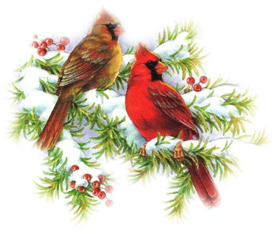 Download High Quality cardinal clipart christmas Transparent PNG Images