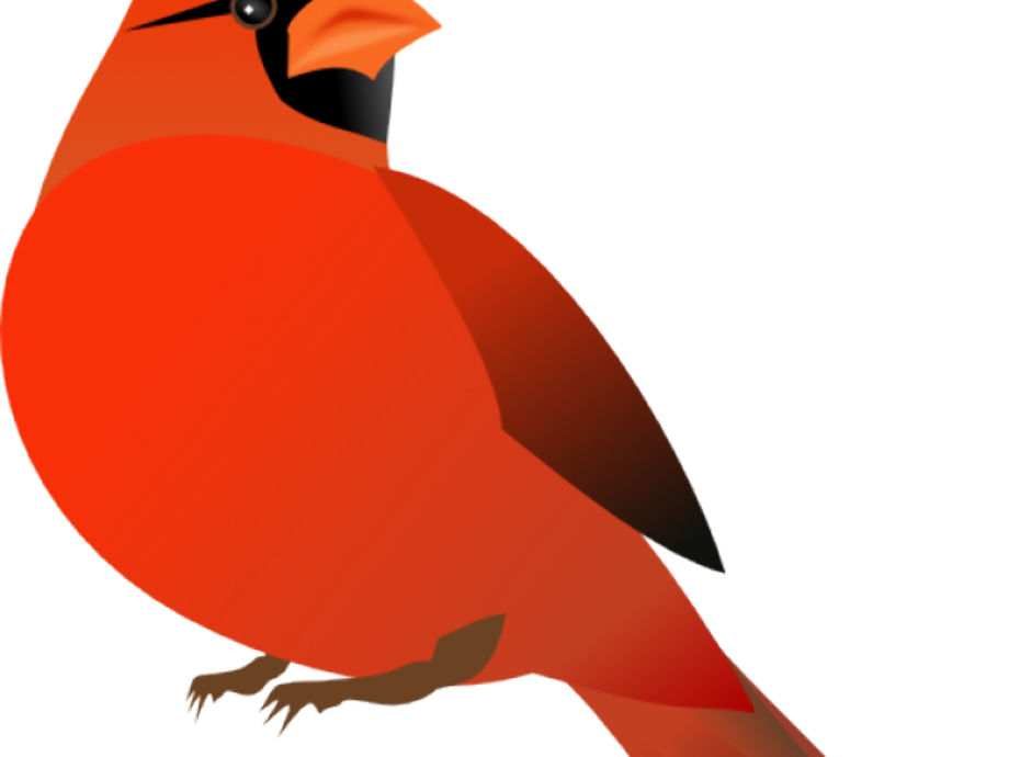 Download High Quality Cardinal Clipart Flying Transparent Png Images