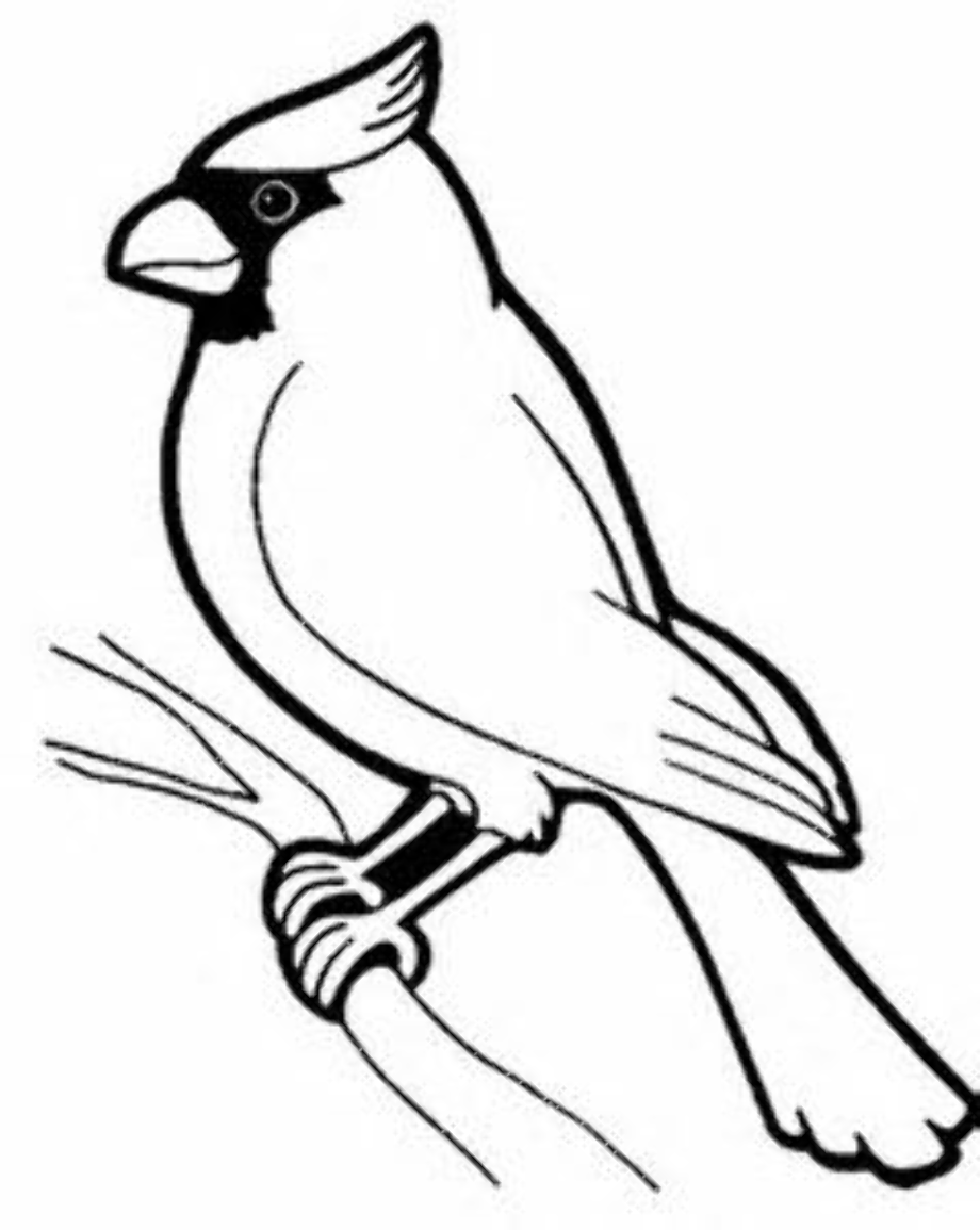 download-high-quality-cardinal-clipart-black-and-white-transparent-png
