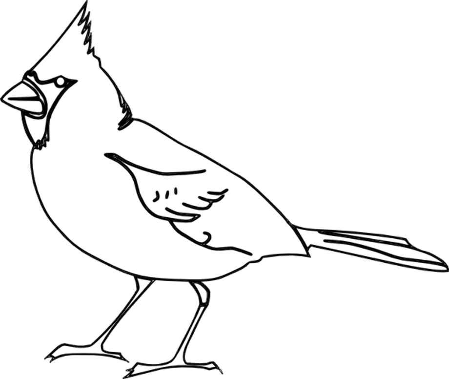 cardinal clipart black and white