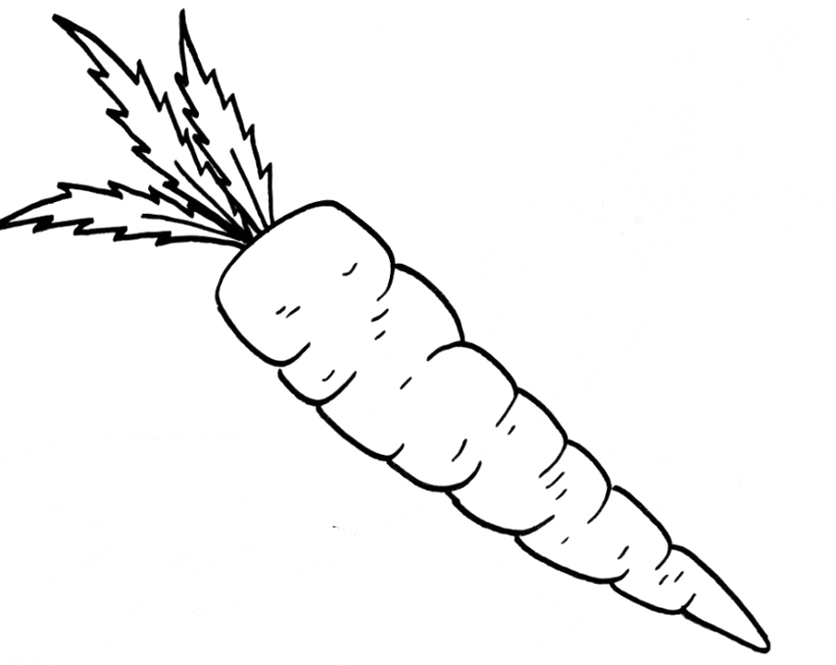 carrot clipart coloring
