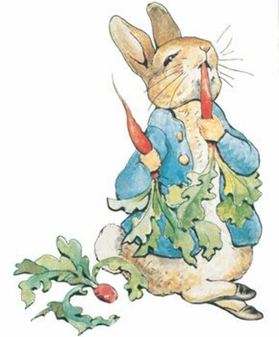 download-high-quality-carrot-clipart-peter-rabbit-transparent-png