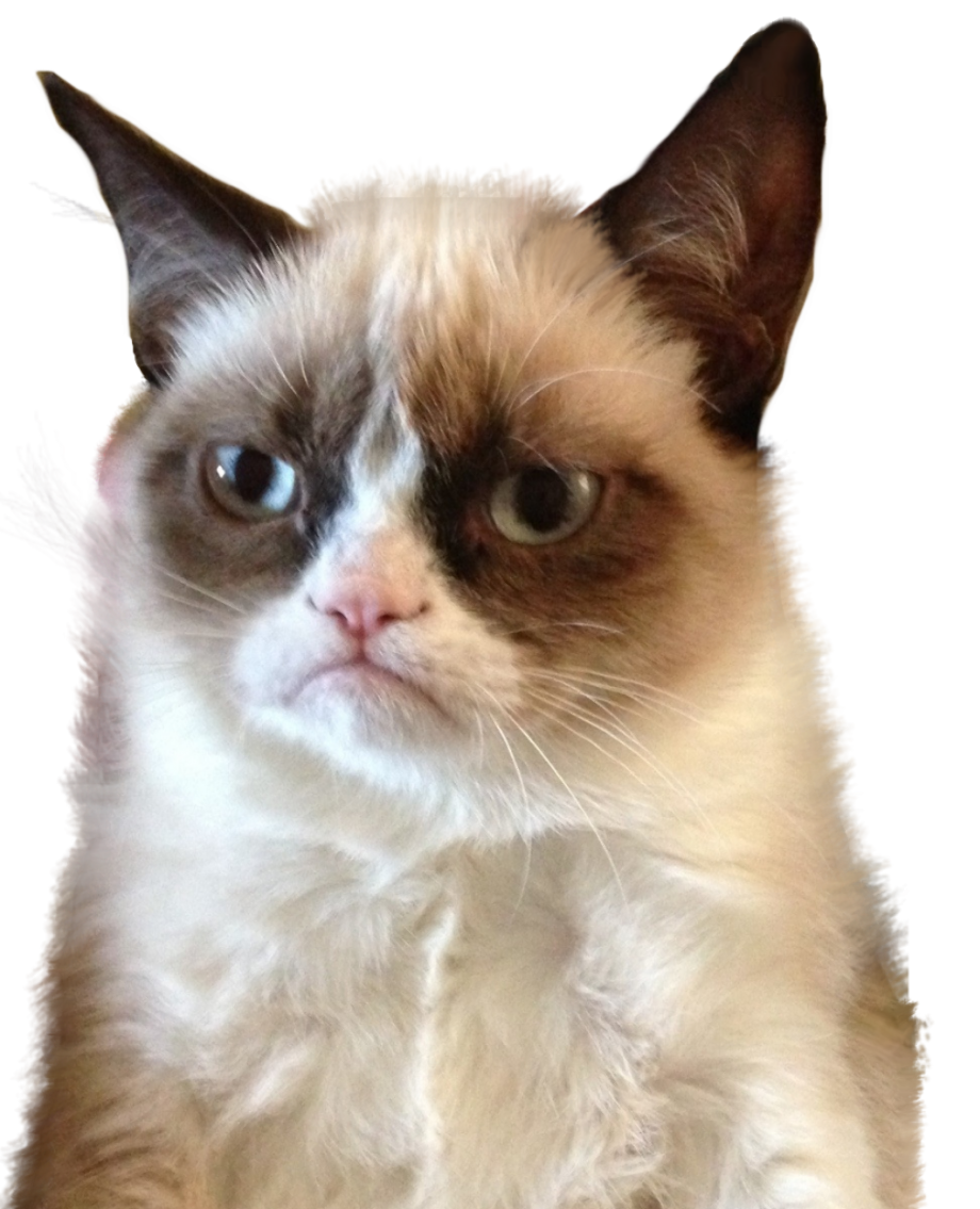 Download High Quality Cat clipart angry Transparent PNG Images - Art