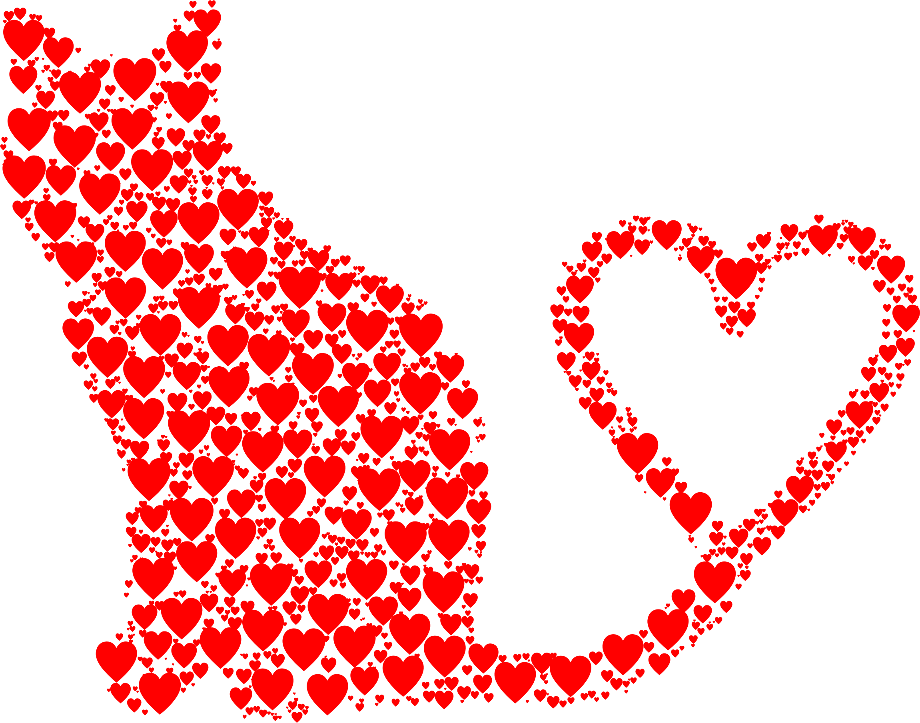 Download High Quality Cat clipart heart Transparent PNG Images - Art