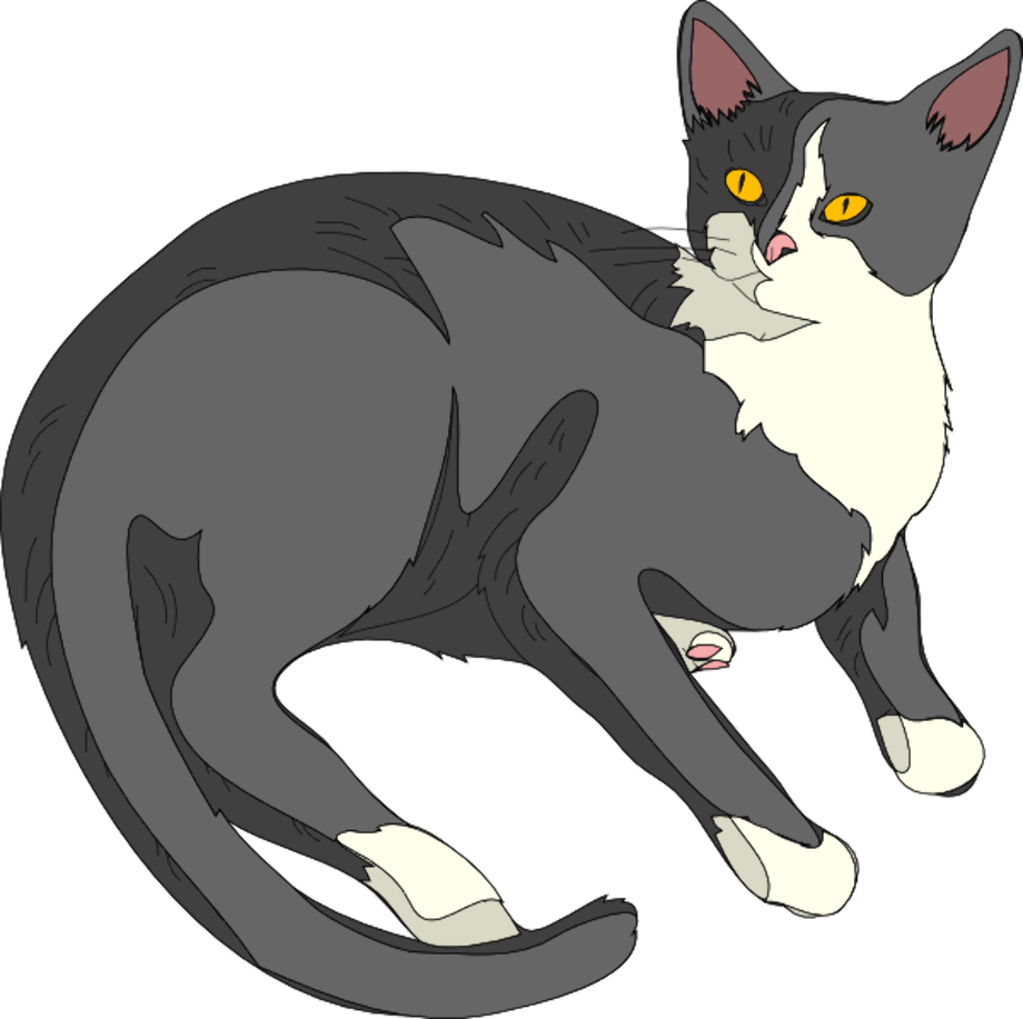 Download High Quality Cat clipart download Transparent PNG ...