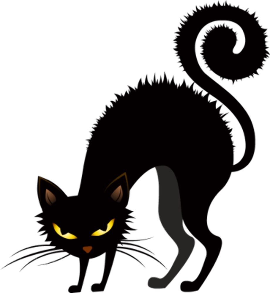 Download High Quality Cat clipart scary Transparent PNG Images Art
