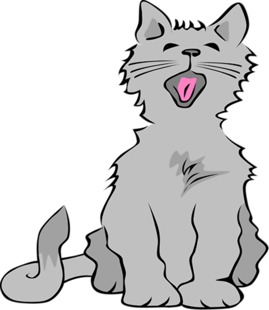 Cat clipart transparent