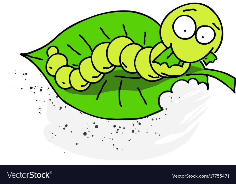 caterpillar clipart eating