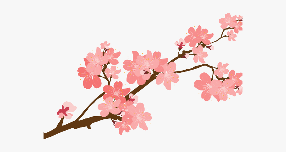 Download High Quality cherry clipart blossom Transparent PNG Images