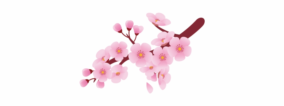 cherry clipart pink