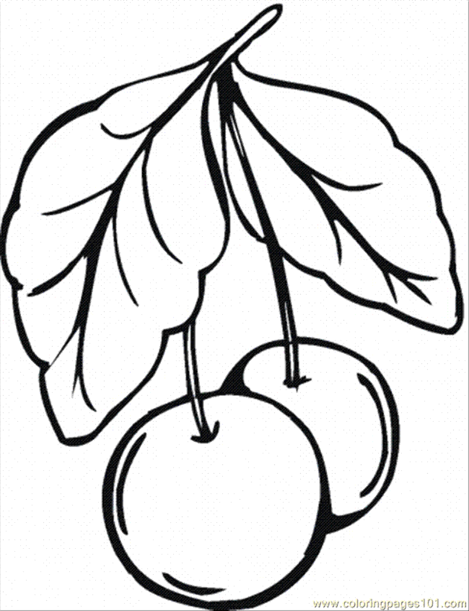 Cherry Coloring Fruit Pages Easy Apple Fruits Drawing Printable Sweet ...
