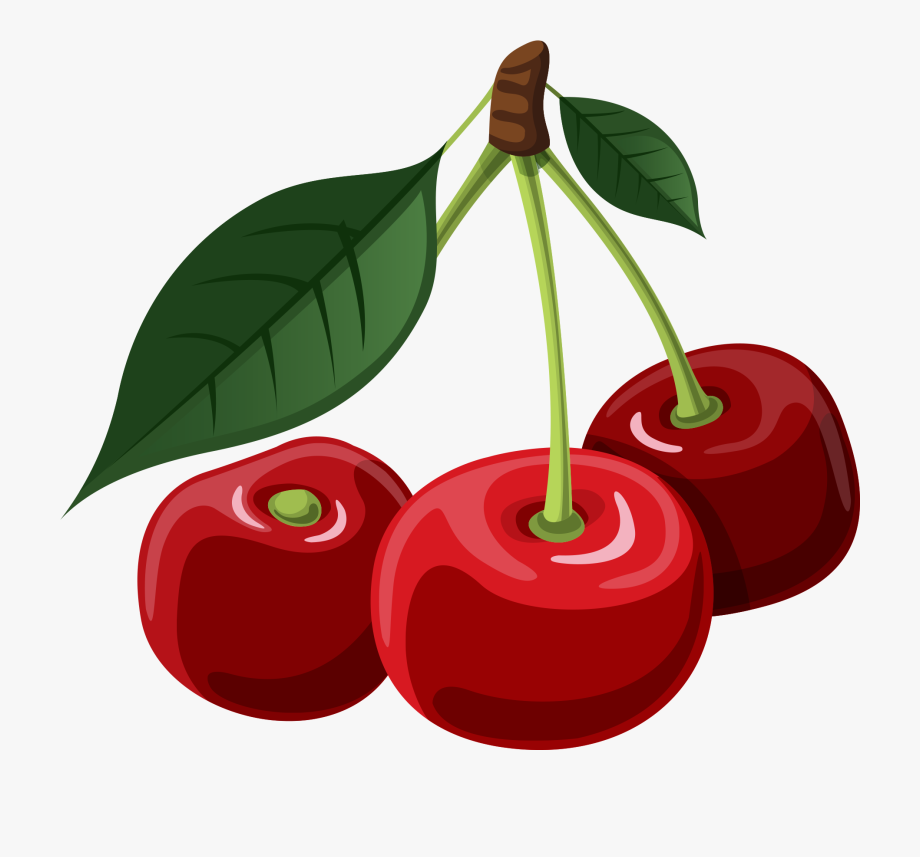 cherry clipart simple