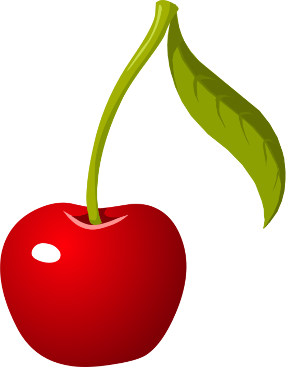 cherry clipart one