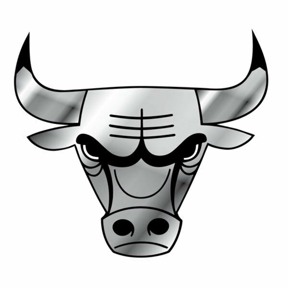 chicago bulls logo basketball