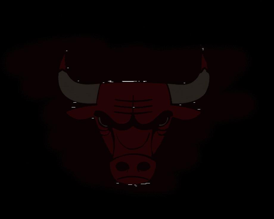 chicago bulls logo black