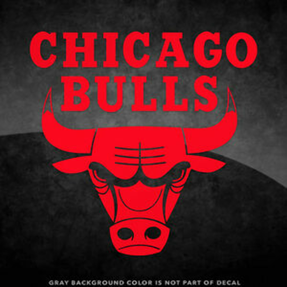 Chicago Bulls Logo History