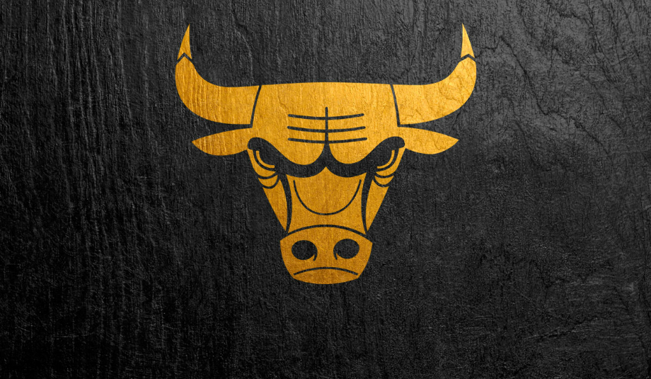 Download High Quality chicago bulls logo gold Transparent PNG Images