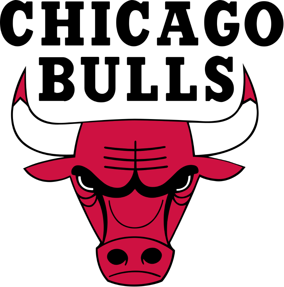 chicago bulls logo michael jordan