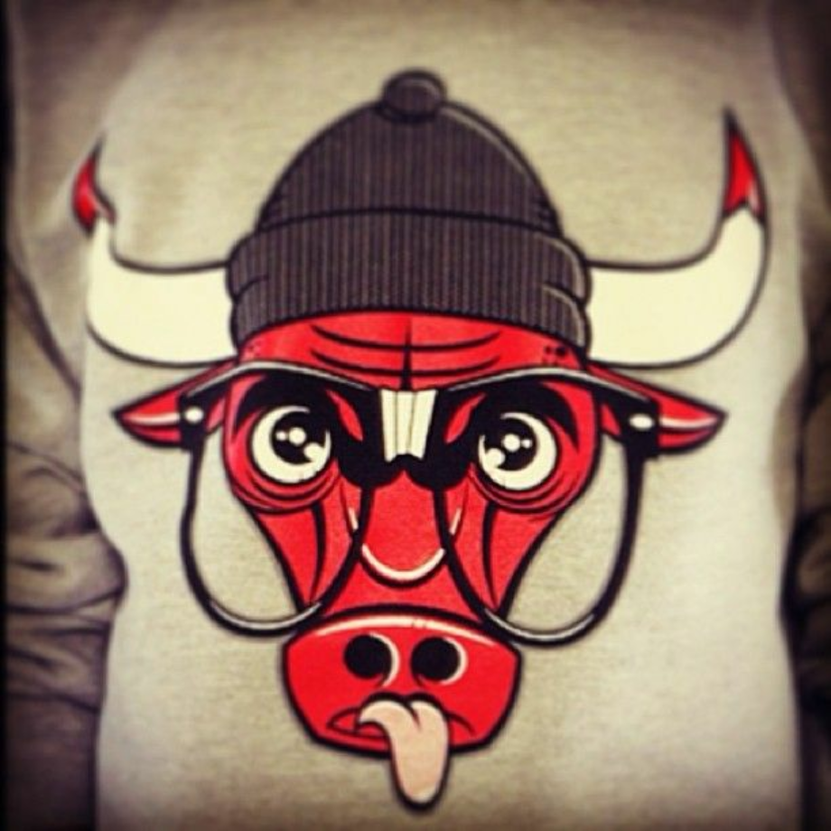 chicago bulls logo swag