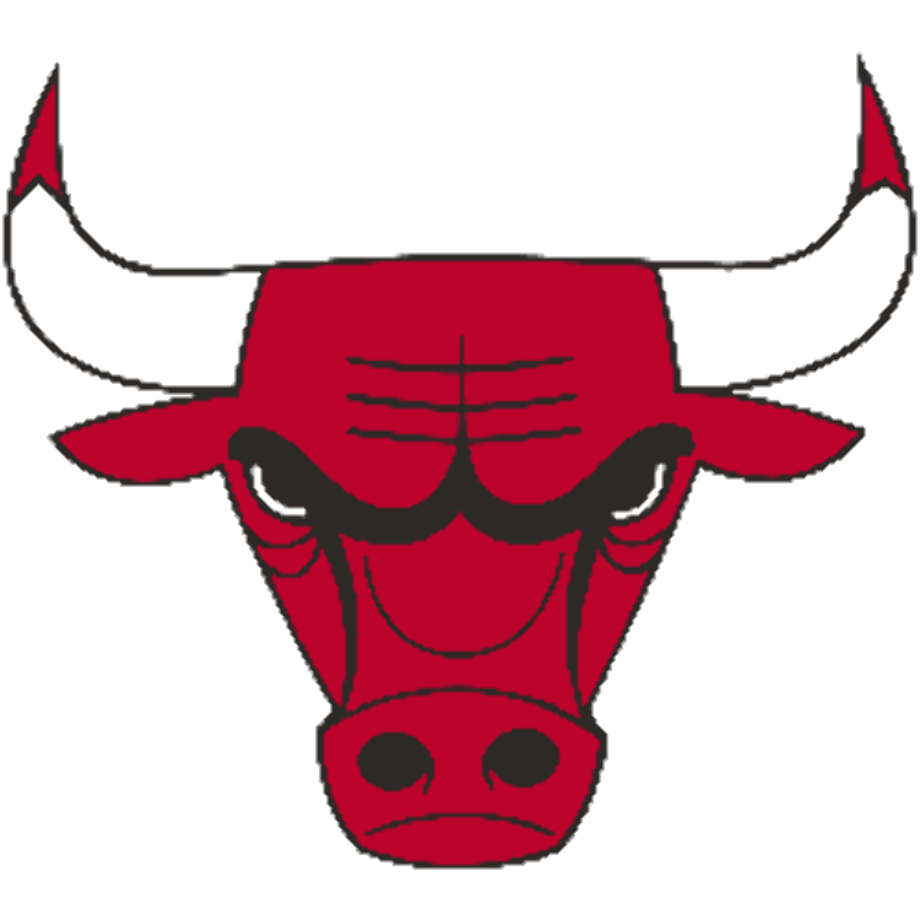 Chicago Bulls Logo Pixel Art