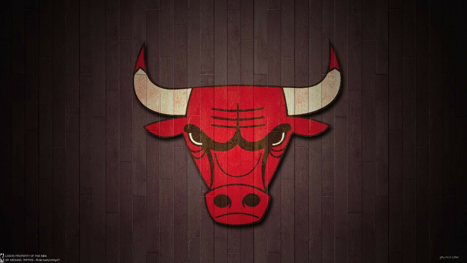 chicago bulls logo iphone
