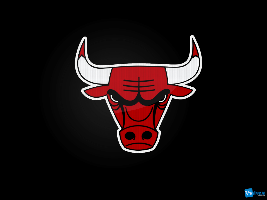chicago bulls logo high resolution