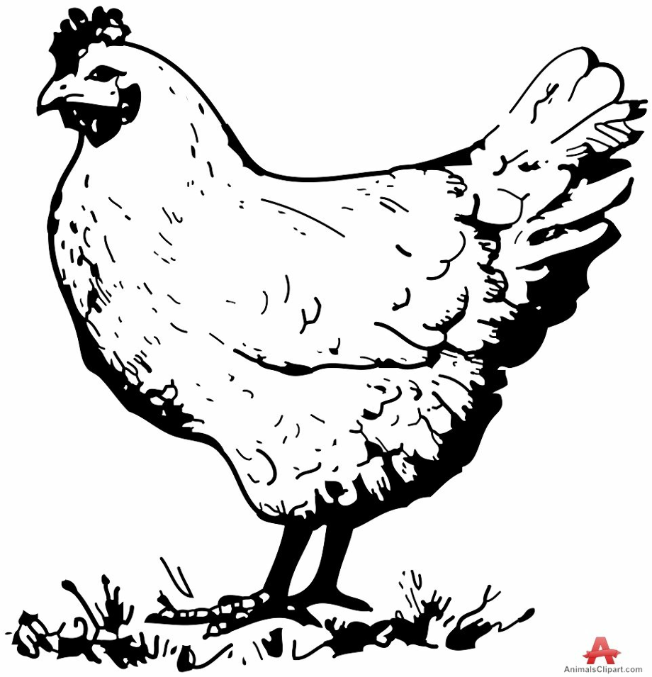 Download High Quality Chicken Clipart Black And White Royalty Free Transparent PNG Images Art