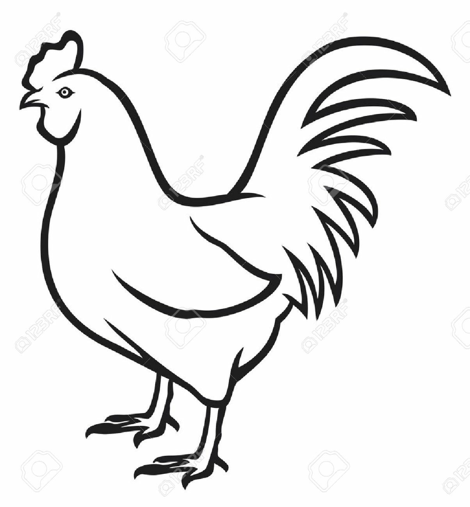 rooster clipart outline