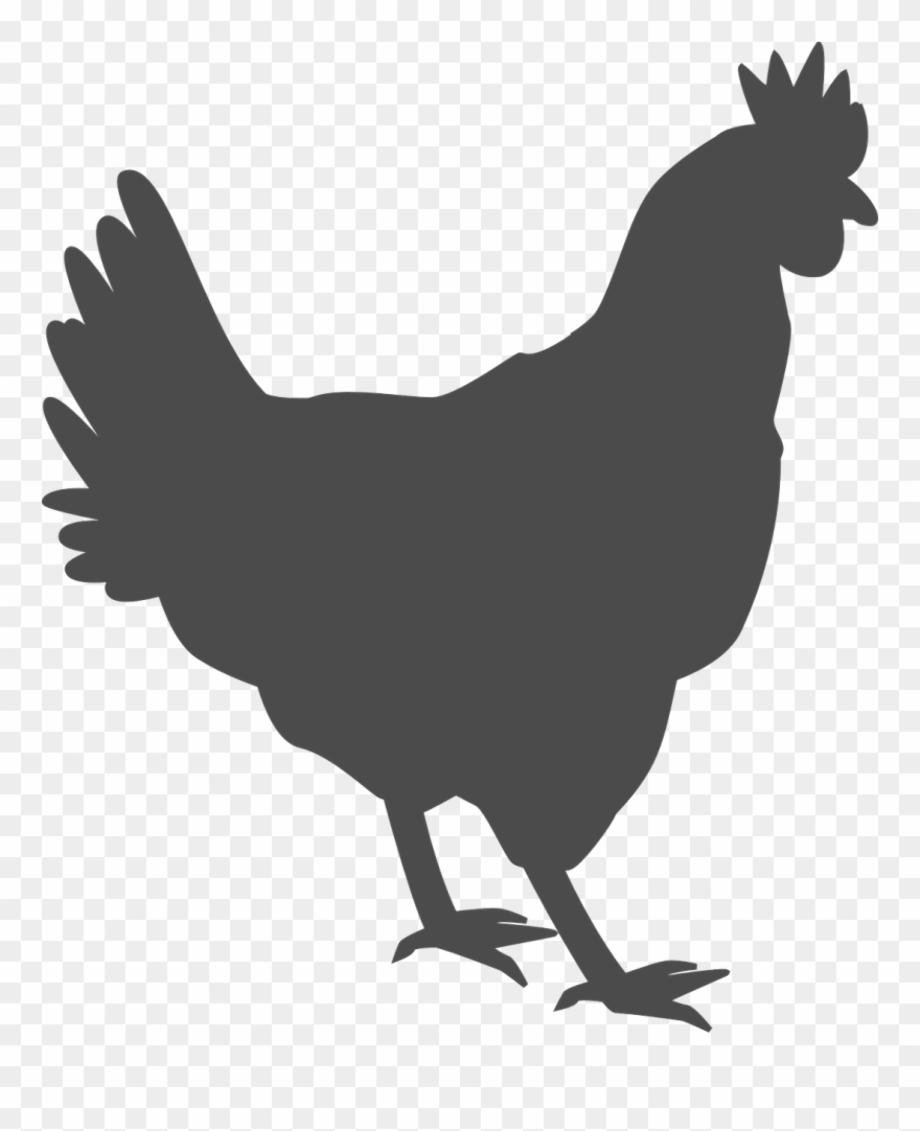 Download High Quality chicken clipart outline Transparent PNG Images