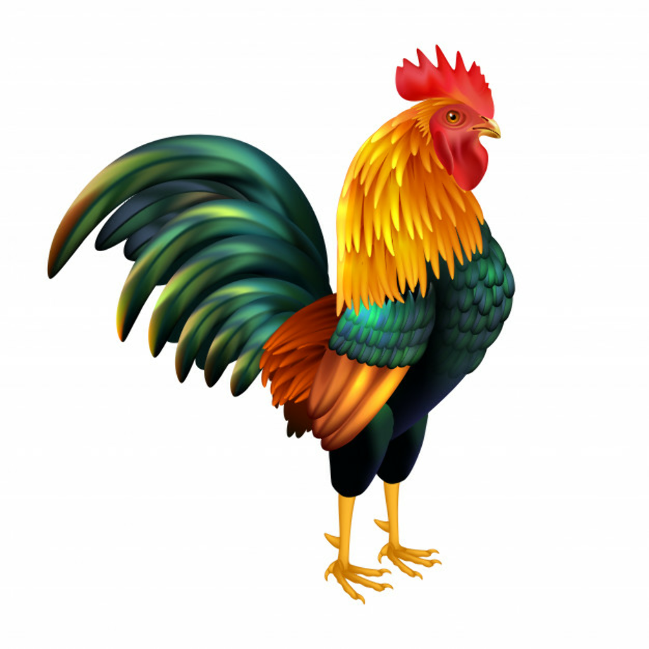 rooster clipart abstract