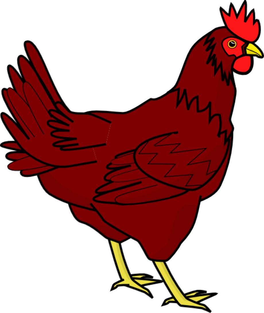 chicken clipart red