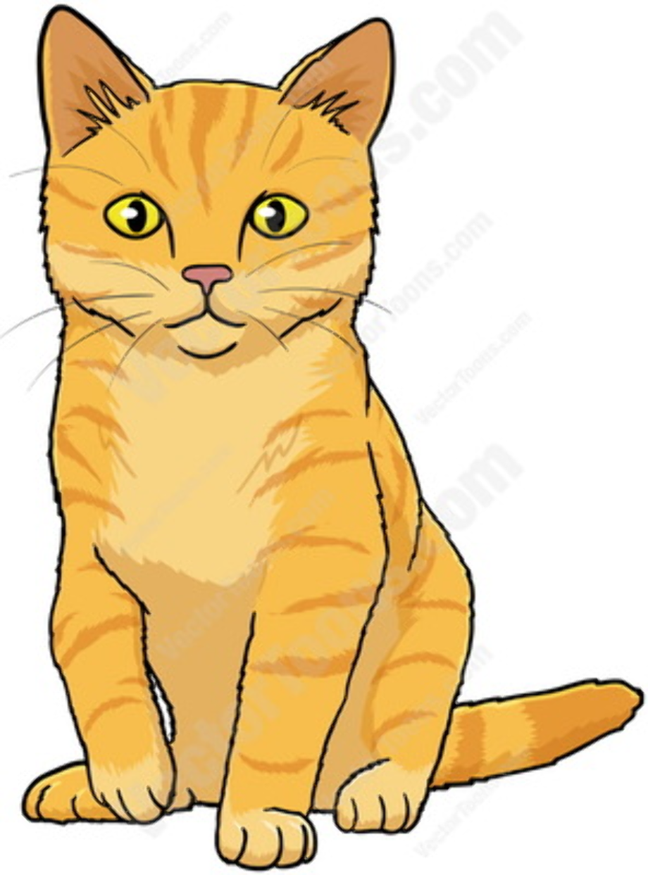 Download High Quality clipart cat tabby Transparent PNG Images - Art