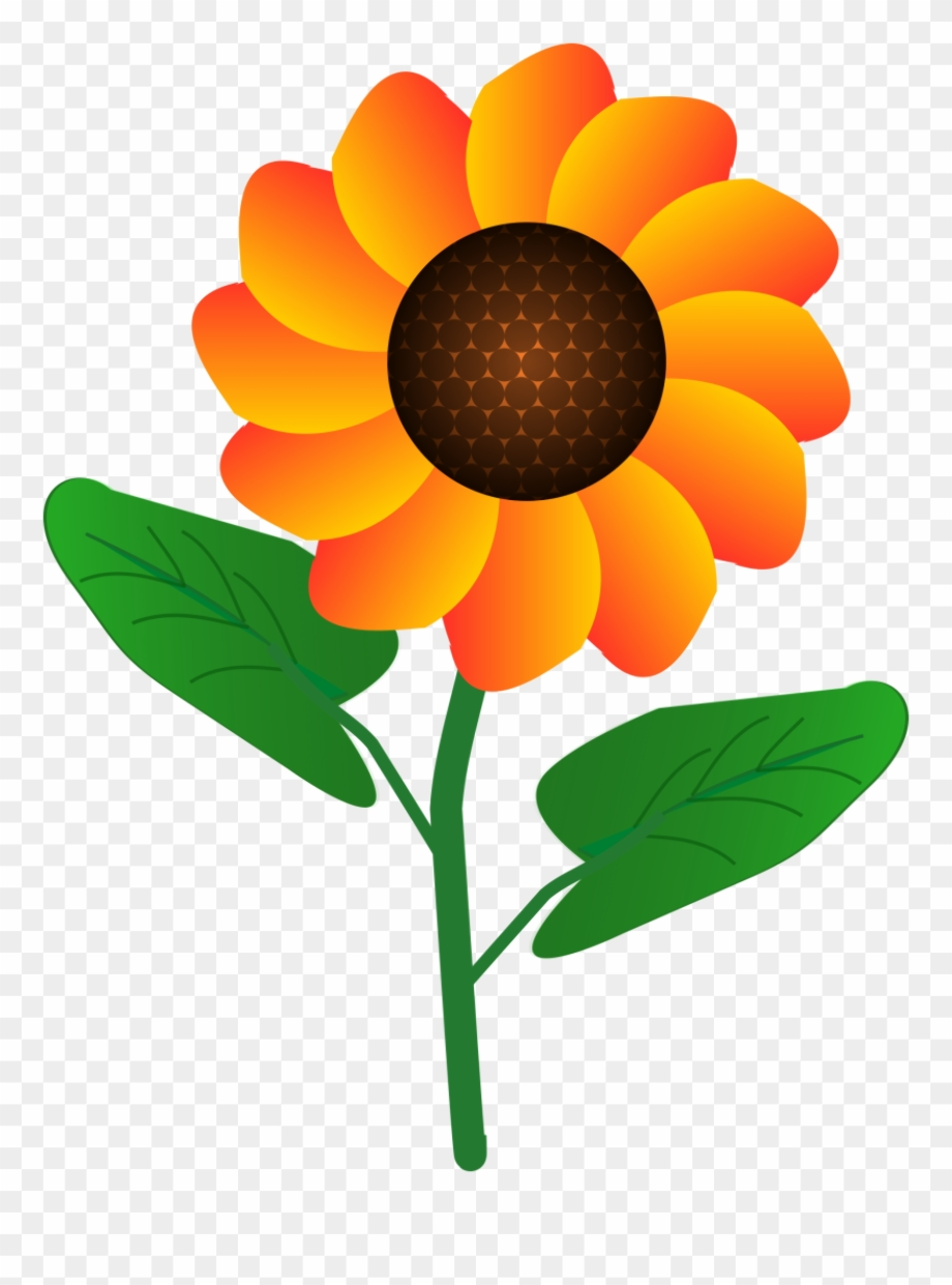Download High Quality clipart flower cartoon Transparent PNG Images