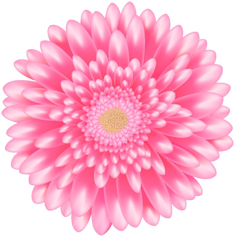 transparent flower pink