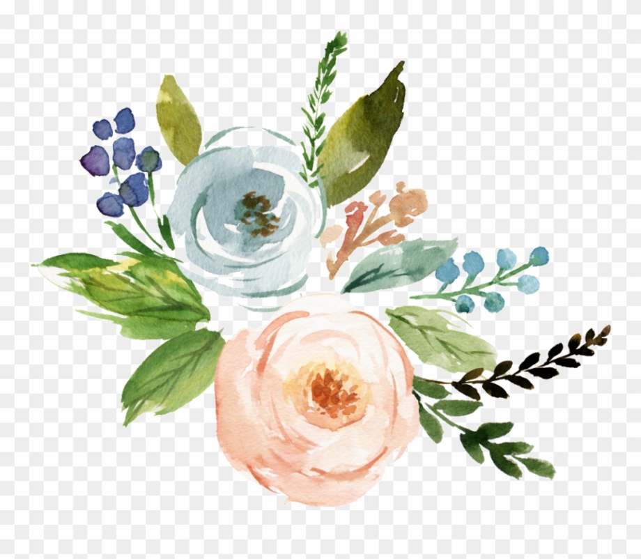 flowers transparent background watercolor