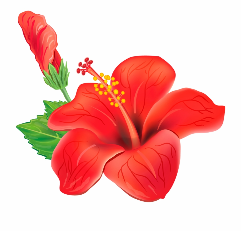 Download High Quality clipart flowers tropical Transparent PNG Images ...