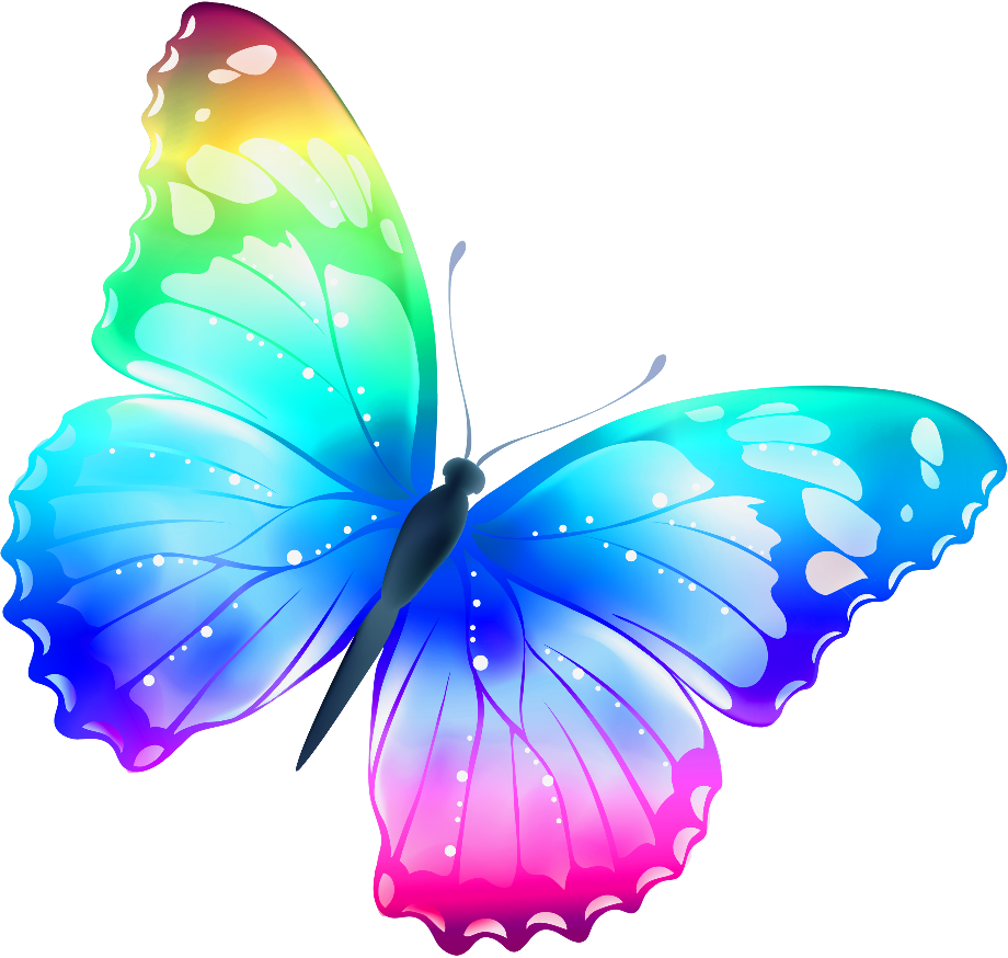 butterflies clipart colorful