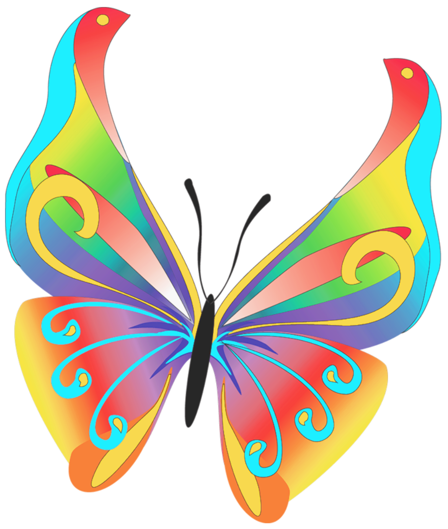 free clipart downloads butterflies