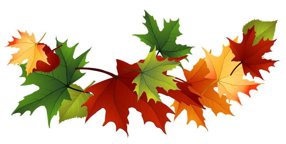 fall leaves clipart large