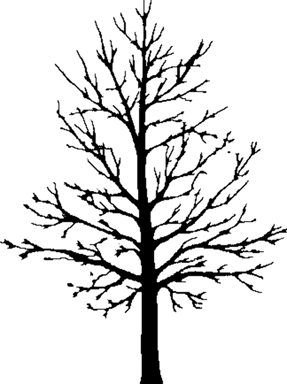 Download High Quality clipart tree bare Transparent PNG Images - Art