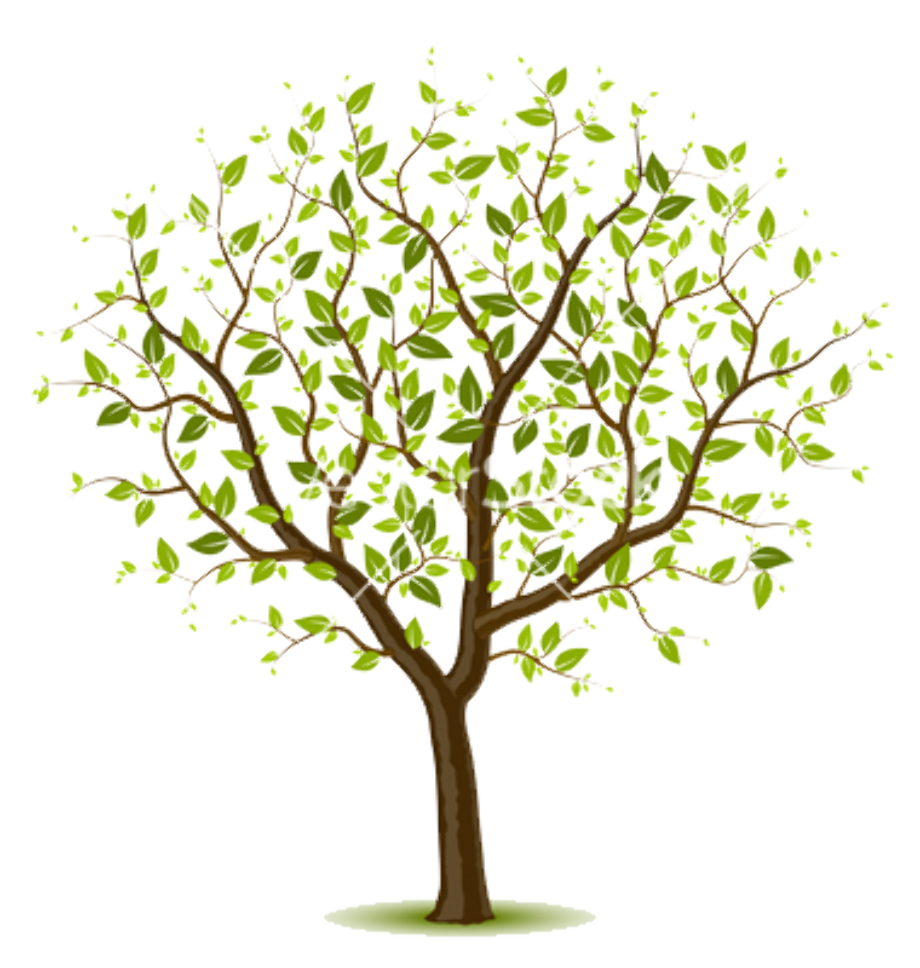tree transparent vector