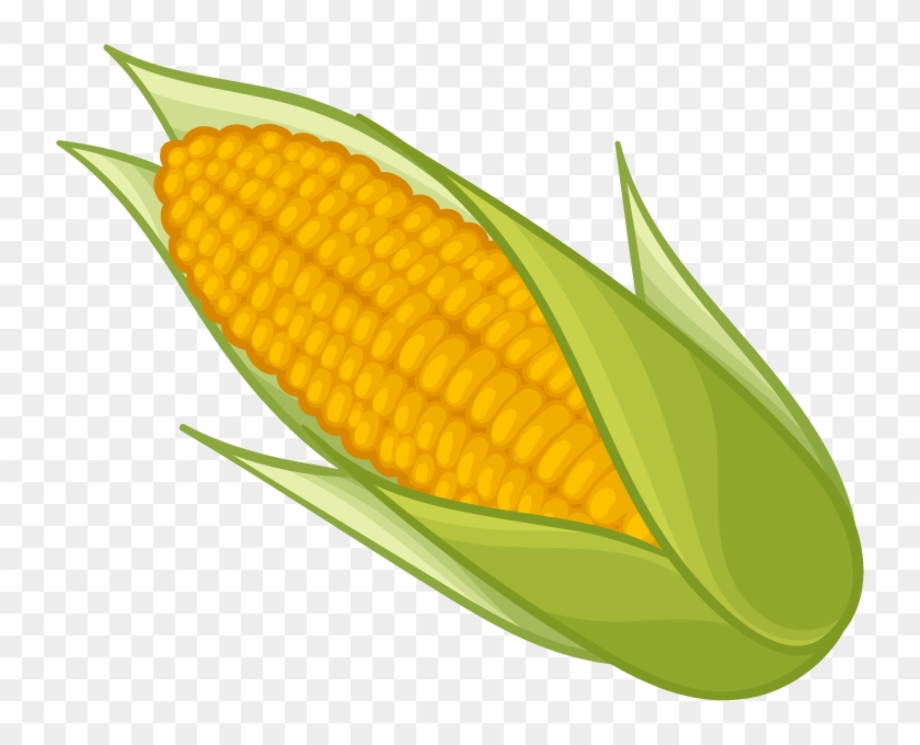corn clipart sweet