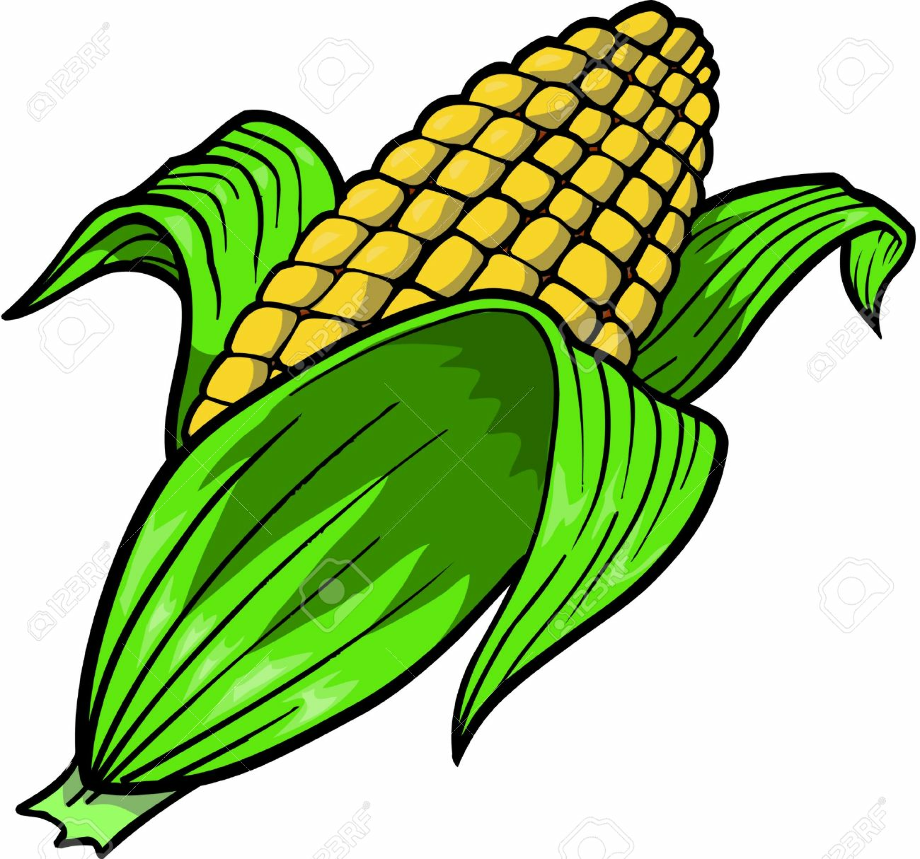 corn clipart fall
